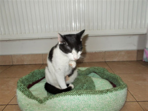 Teď už je Julinka spokojená