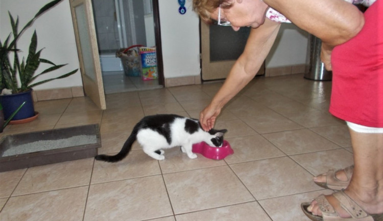 Teď už je Julinka spokojená ve svém novém domově