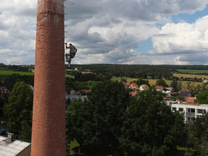 Václav Kural ml. kroužkuje asi tři týdny stará mláďata čápa bílého v Heřmanově Huti