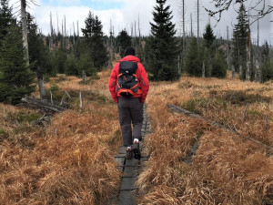 Vypravte se do šumavské divočiny s průvodcem a poznejte její skrytou krásu