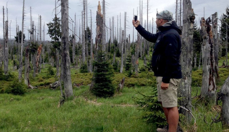 Vypravte se do šumavské divočiny s průvodcem a poznejte její skrytou krásu
