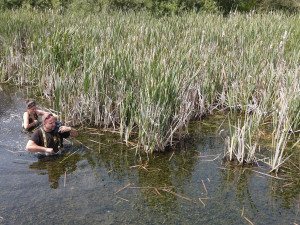 Kroužkování motáků