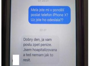Žena podvedla přes internet devatenáct lidí z celé ČR, slíbené zboží nikdy neposlala