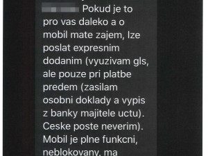 Žena podvedla přes internet devatenáct lidí z celé ČR, slíbené zboží nikdy neposlala