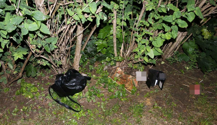 Hradecká kriminálka objasnila loupež, mladík půjde za mříže až na 10 let