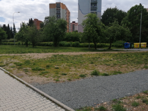 Situace před zásahem