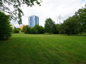 Tyto prostory budou sloužit k venčení pejsků