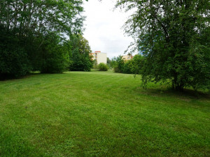 Tyto prostory budou sloužit k venčení pejsků