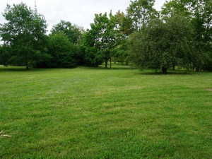 Tyto prostory budou sloužit k venčení pejsků