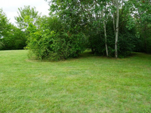 Tyto prostory budou sloužit k venčení pejsků