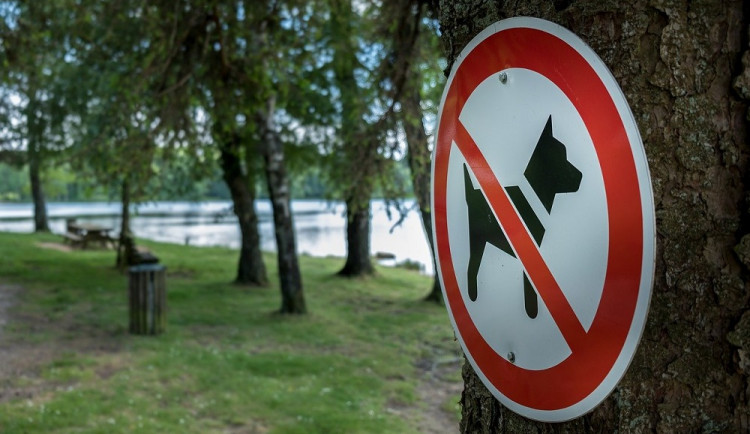 Na Stříbrňáku už se psi nevykoupou, v areálu smí být navíc pouze na vodítku