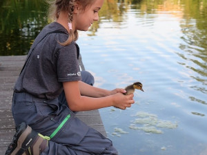 O vypuštění zachráněného mláděte se postarala záchranářka juniorka