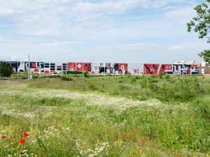 Halu v průmyslové zóně zdobí obří grafika, takzvaný mural art