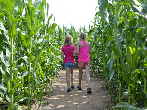 TIP NA VÝLET: Pojďte se ztratit! Kukuřičná bludiště jsou hit