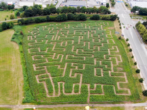 TIP NA VÝLET: Pojďte se ztratit! Kukuřičná bludiště jsou hit