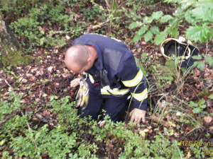 Pejsek spadl do vybetonované šachty s odpadky a vodou, záchrana  přišla třetí den