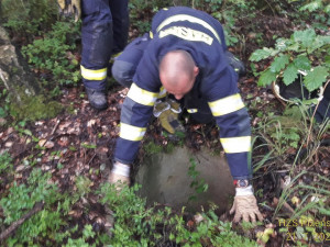 Pejsek spadl do vybetonované šachty s odpadky a vodou, záchrana  přišla třetí den