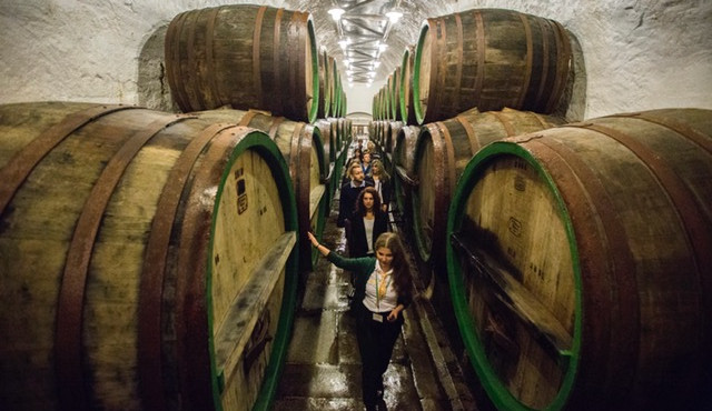 Prohlidka pivovaru Plzensky Prazdroj (4)