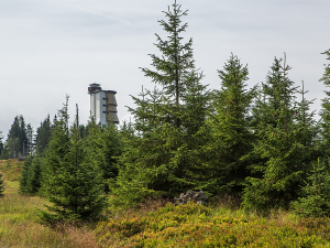 Rekonstrukce Poledníku začne v polovině srpna, nouzové nocoviště bude dál v provozu