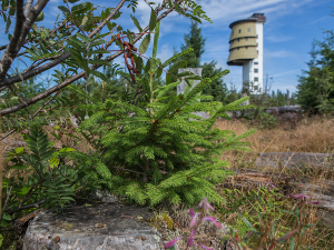 Rekonstrukce Poledníku začne v polovině srpna, nouzové nocoviště bude dál v provozu