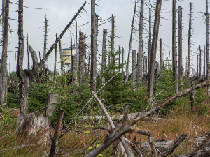 Rekonstrukce Poledníku začne v polovině srpna, nouzové nocoviště bude dál v provozu
