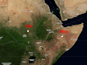 Mapa zachycují africkou cestu našich čápů