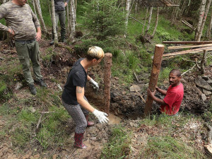 Nový šumavský projekt navrátí vodu do vysušených mokřadů a pramenišť