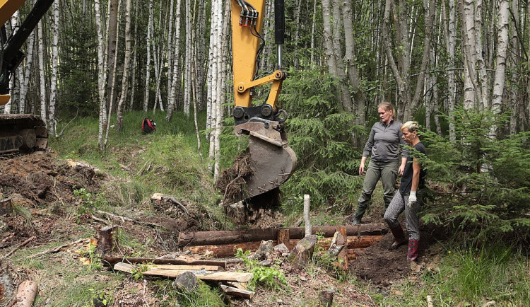 Nový šumavský projekt navrátí vodu do vysušených mokřadů a pramenišť