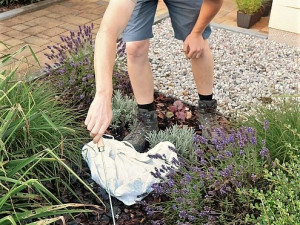 Radek Zeman už nám několikrát předvedl, že dokáže chytit jakéhokoliv tvora