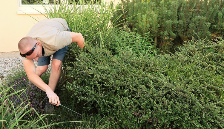 Radek Zeman už nám několikrát předvedl, že dokáže chytit jakéhokoliv tvora