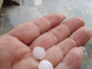 Kroupy fotografovala také Drahomíra Mečlová