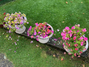 Krupobití zasáhlo v podvečer Klatovsko a Domažlicko, kroupy ničily úrodu i majetky