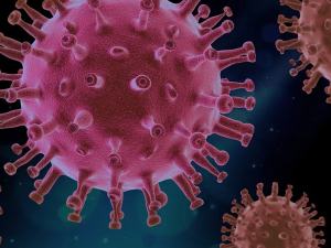 Koronavirus v Česku: V nemocnicích po celé zemi leží 108 lidí. V našem regionu přibyli čtyři nemocní