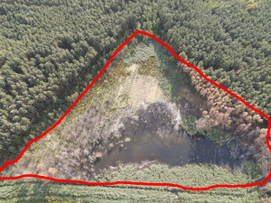 Červená linie ukazuje, kam až sahala voda před zbořením bobří hráze a následným vypuštěním mokřadu