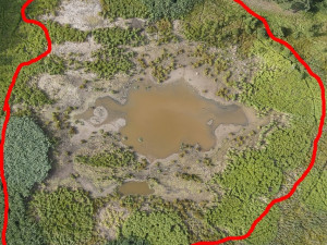 Červená linie ukazuje, kam až sahala voda před zbořením bobří hráze a následným vypuštěním mokřadu