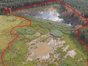 Červená linie ukazuje, kam až sahala voda před zbořením bobří hráze a následným vypuštěním mokřadu