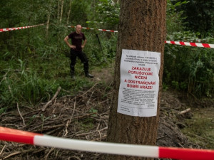 Takto obtížně se obnovovala poničená bobří hráz