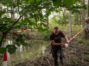 Takto obtížně se obnovovala poničená bobří hráz
