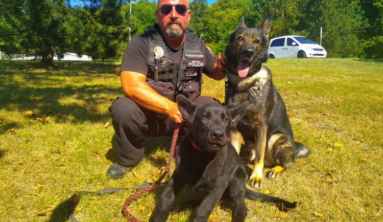 Zatím je to roztomilé štěně, co nevidět z něj vyroste strážce zákona