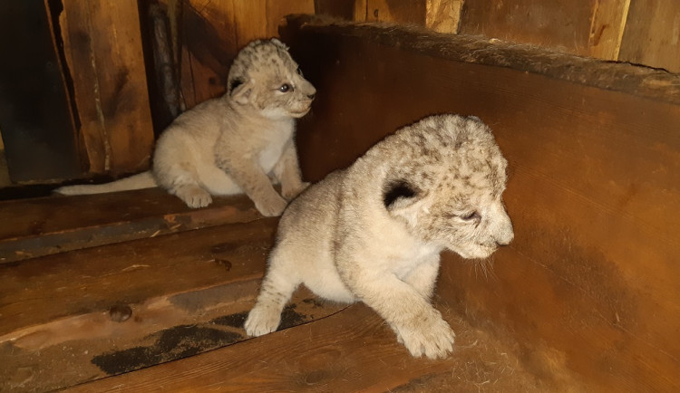 foto 12.8.2020 ing. Lenka Václavová (1)