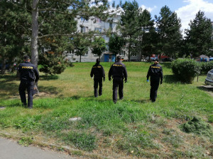 Pátrání po pachatelích přepadení