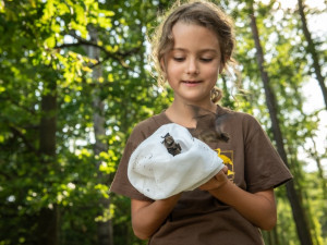 Včerejší vypouštění zachráněných netopýrů ze sídla ČSSD