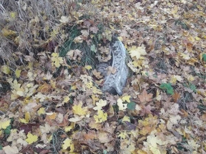 Pomník v zaniklé obci Dřevohryzy při nálezu