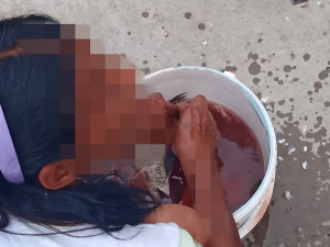 Cizinci dostali chuť na ryby, v centru města lovili bez povolení