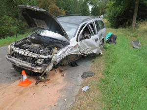 Řidič se vyhýbal ptáku na silnici, přejel do protisměru a naboural další automobil