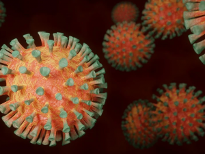 V týmu Viktoria Plzeň se objevil koronavirus, testování odhalilo jednoho nakaženého