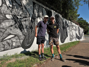 Ruin a Skirl dlouhá zeď u Lékařské fakulty v Lidické ulici