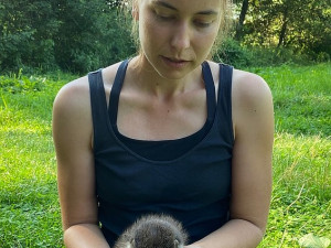 Dominika Lokingová se vydřeti věnovala 24 hodin denně, mládě se zachránit nepodařilo