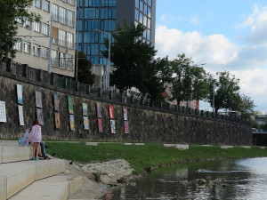 Labutí samice se po rodinné tragédii a zotavení z těžkého zranění opět zamilovala