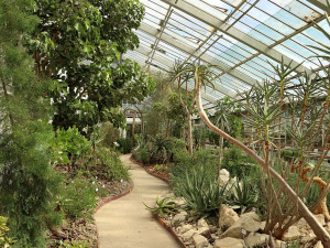 Sucho ve skleníku plzeňské zoologické a botanické zahrady, nová expozice ukáže život na poušti